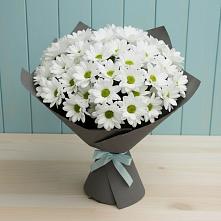 Букет цветов из:  Хризантемы #REPLACE_PRED# Старой Торопе