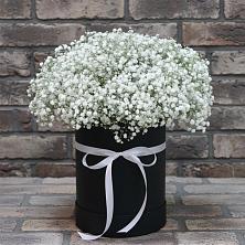Цветочная композиция из Гипсофила в шляпной коробке в Старой Торопе