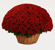 Премиум букет из: Розы в Старой Торопе