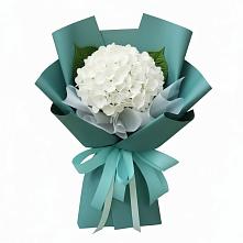 Букет цветов из:  Гортензия в Старой Торопе